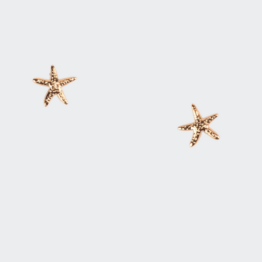 Starfish Earrings