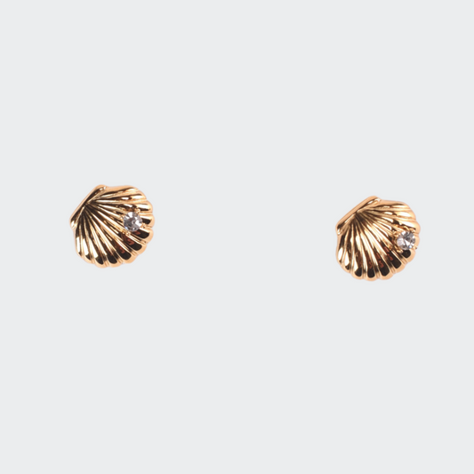 Clam Shell Earrings