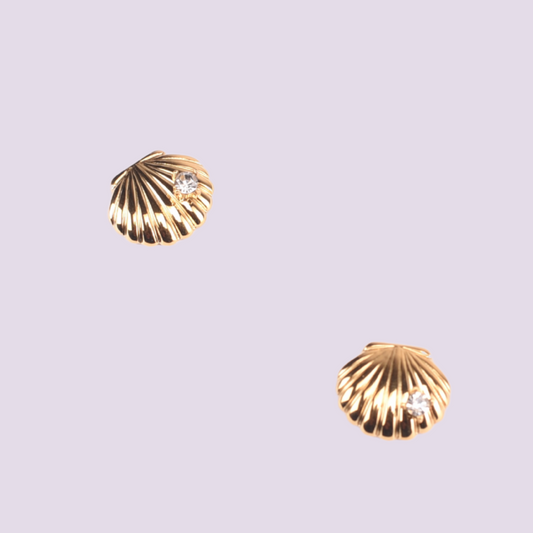 Clam Shell Earrings