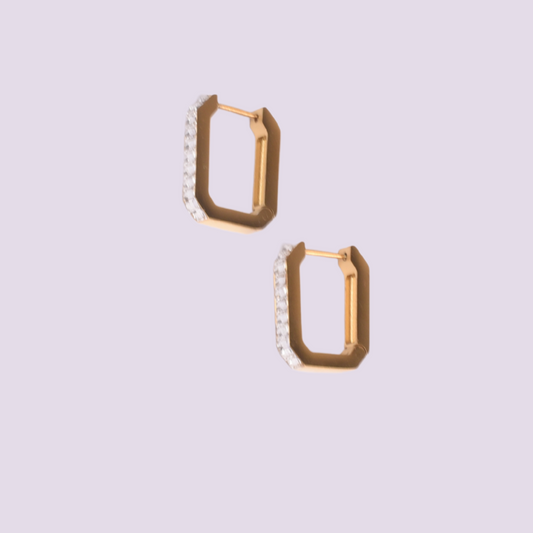 Boxed Beauty Earrings